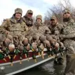 Group Hunting Ducks