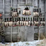 two men lined up with their duck hunt results