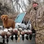 hunter with his dog and his duck harvest on a boat