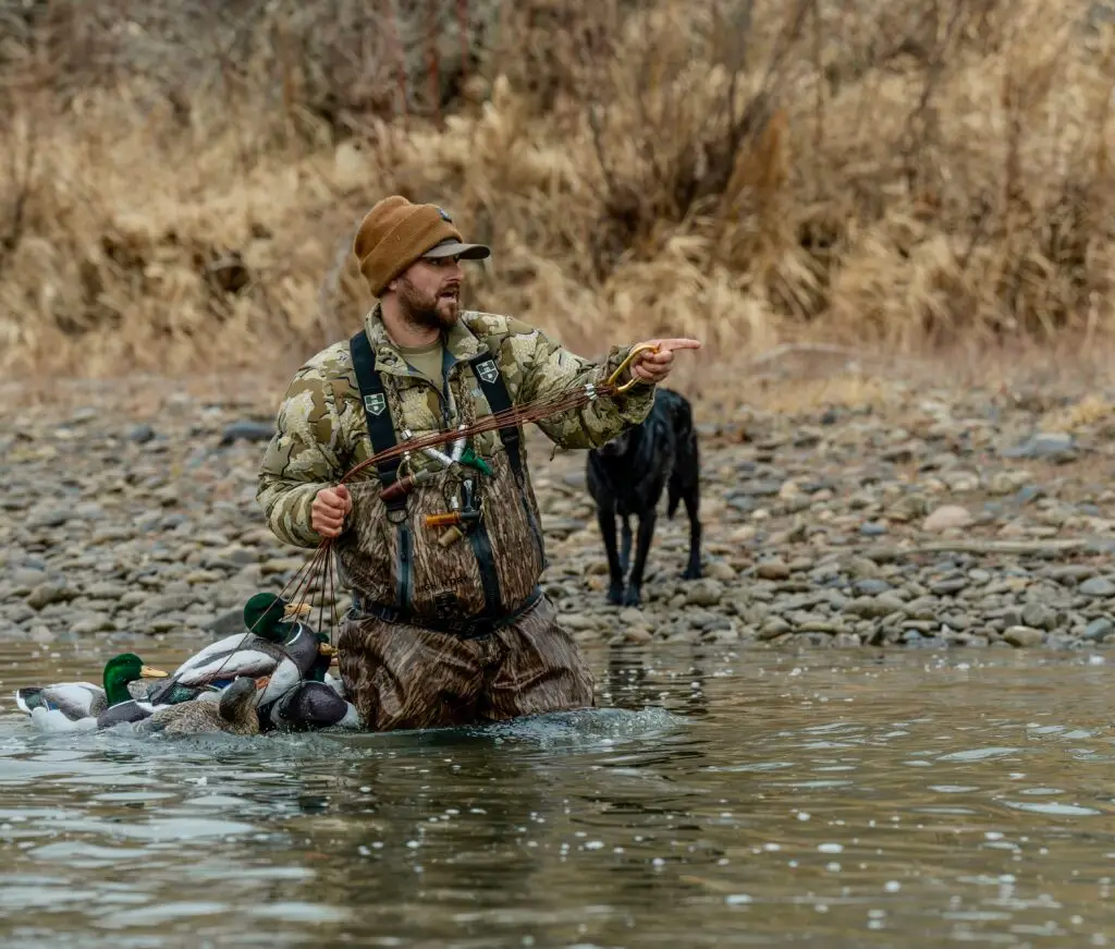 Hunter wades into the water as he prepares to set duck decoys for hunting.