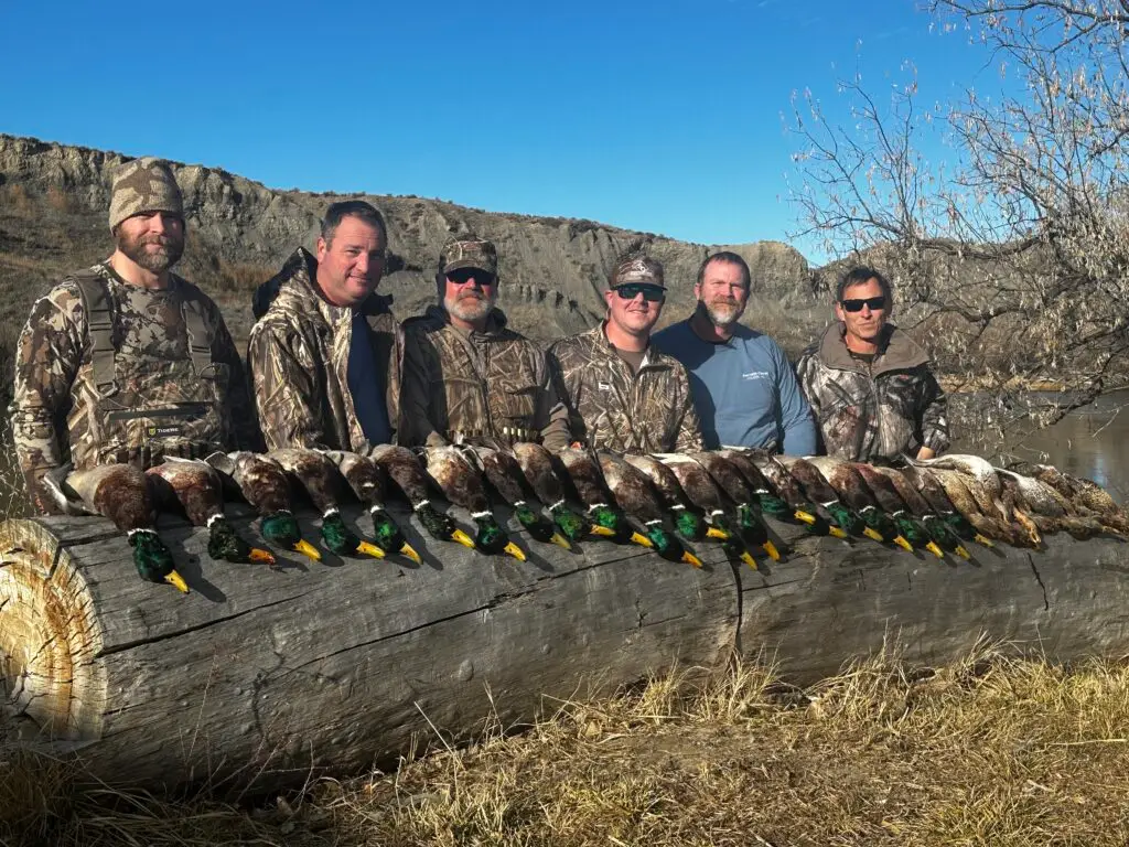 Group poses with their harvest of ducks from a successful duck hunt