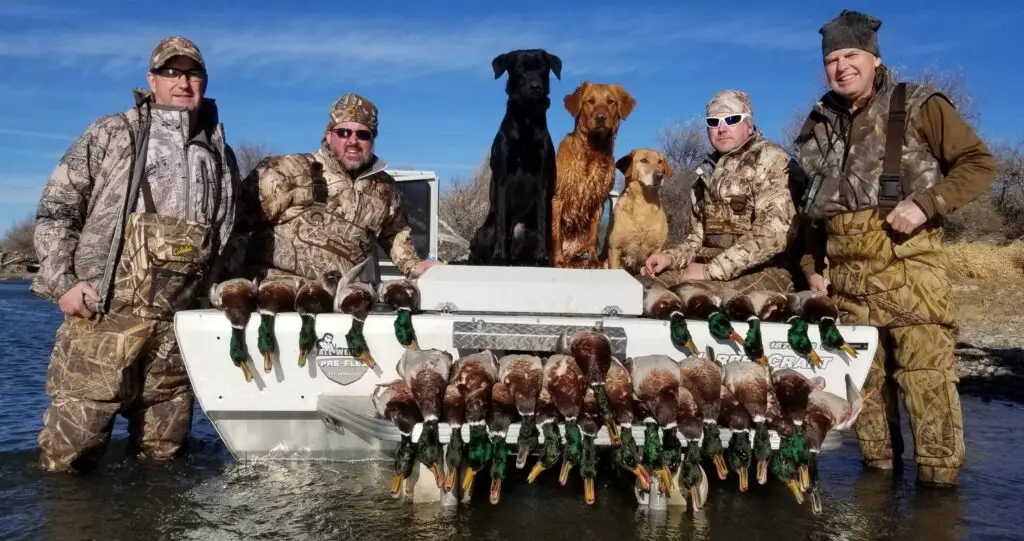 Group of men showing off their successful hunt with three dogs in the boat