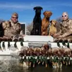 Group of men showing off their successful hunt with three dogs in the boat