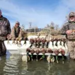 five men showing their duck hunt harvest while wearing waders and camouflage