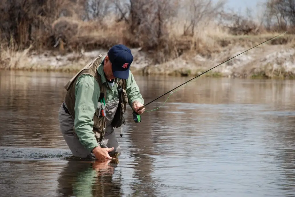 a man pulling a fish out of the water
