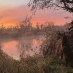 Waterfowl hunters waiting in a blind at sunrise on the Bighorn River